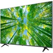 65 -inch LG TV 65UQ80006